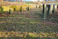 Bad Rappenau Friedhof GA 019.jpg (155094 Byte)