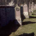 Creglingen Friedhof 802.jpg (260251 Byte)