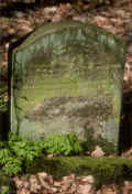 Creglingen Friedhof 811.jpg (448878 Byte)