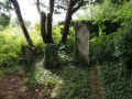Wittmund Friedhof 281.jpg (169170 Byte)