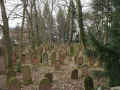 Hanau Friedhof 171.jpg (121499 Byte)