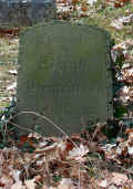 Wildeshausen Friedhof 123.jpg (120030 Byte)