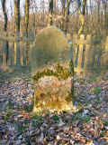 Weierbach Friedhof 2011012.jpg (214500 Byte)