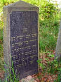 Niedermittlau Friedhof reSte 002.jpg (178003 Byte)