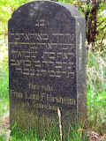 Niedermittlau Friedhof reSte 020.jpg (181041 Byte)