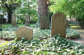 Cloppenburg Friedhof 210.jpg (205739 Byte)