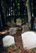 Waibstadt Friedhof 168.jpg (69827 Byte)