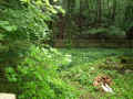 Bad Frankenhausen Friedhof 146.jpg (207407 Byte)