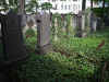 Dresden Friedhof a11216.jpg (119720 Byte)