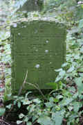Neustadt-Goedens Friedhof 1124.jpg (120638 Byte)