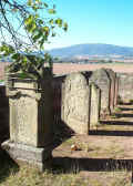 Weitersweiler Friedhof 294.jpg (168949 Byte)
