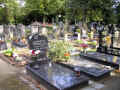 Trier Friedhof 280.jpg (250083 Byte)