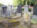 Trier Friedhof 282.jpg (264639 Byte)