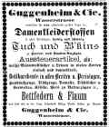 Donaueschingen Wochenblatt 13021897G.jpg (163006 Byte)
