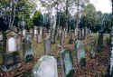 Neudenau Friedhof 158.jpg (94659 Byte)