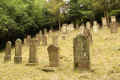 Oberoewisheim Friedhof T184.jpg (259270 Byte)