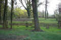 Alsenz Friedhof 12011.jpg (606500 Byte)