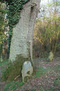 Alsenz Friedhof 12018.jpg (202633 Byte)