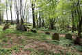 Schopfloch Friedhof 1204020.jpg (304670 Byte)