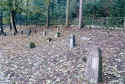 Loerrach Friedhof a155.jpg (107152 Byte)