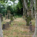 Neustadt adW Friedhof 12024.jpg (126358 Byte)