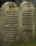 Zutphen Friedhof 020.jpg (42623 Byte)