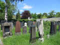 Leipzig Friedhof 19052013 038.jpg (178236 Byte)