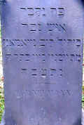 Stuttgart Friedhof Ho 2013 400.jpg (125113 Byte)