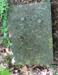 Stuttgart Friedhof Ho 2013 478.jpg (179775 Byte)