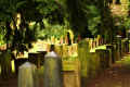 Oppenheim Friedhof K1600_IMG_6251.jpg (176200 Byte)
