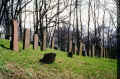 Assenheim Friedhof PICT0004A13.jpg (724523 Byte)