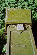 Assenheim Friedhof PICT0078A4_12V.jpg (157018 Byte)