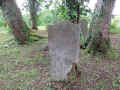 Steinfischbach Friedhof 8737.jpg (286051 Byte)
