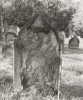 Bad Kissingen Friedhof BR 21-11.jpg (307928 Byte)