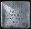 Koeln Stolperstein Herbert Salmon.jpg (34067 Byte)