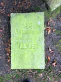 Cham Friedhof IMG_1075.jpg (374685 Byte)