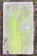 Cham Friedhof IMG_1091.jpg (227736 Byte)