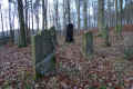 Harmuthsachsen Friedhof DSC05299.jpg (184282 Byte)