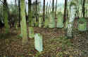 Marienthal Friedhof 051.jpg (67426 Byte)