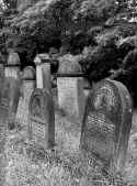 Hochberg Friedhof 211.jpg (81803 Byte)