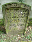 Frankfurt Batton 100.jpg (106231 Byte)