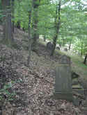 Braubach Friedhof 105.jpg (111917 Byte)