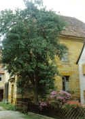 Ermreuth Synagoge 055.jpg (67431 Byte)