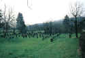 Hagenbach Friedhof 124.jpg (56251 Byte)