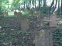 Gedern Friedhof 101.jpg (88215 Byte)