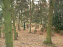 Hanau Friedhof 010.jpg (81954 Byte)