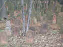 Hanau Friedhof 012.jpg (80944 Byte)
