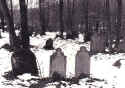 Heinsheim Friedhof32.jpg (113056 Byte)
