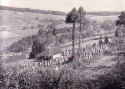 Affaltrach Friedhof 1932b.jpg (175610 Byte)