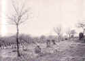 Berlichingen Friedhof1932a.jpg (137905 Byte)